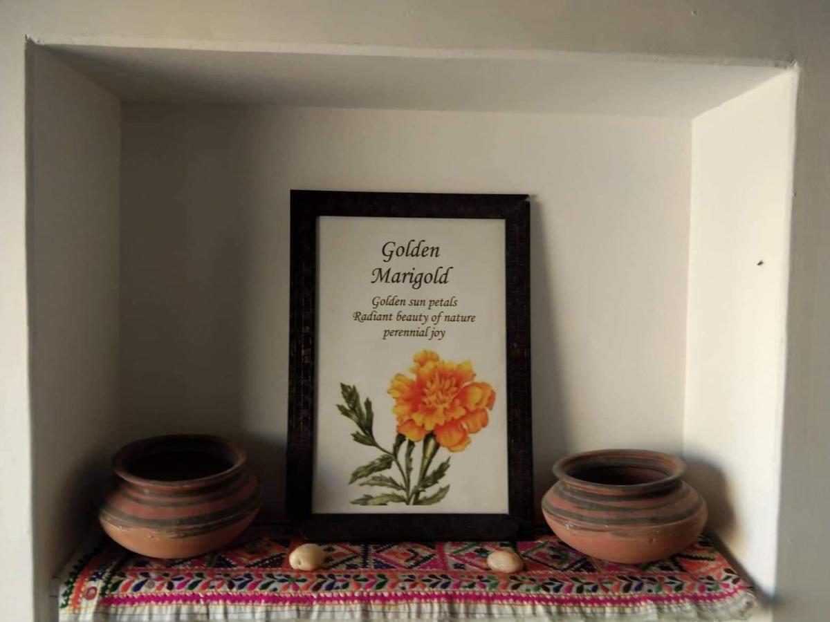 Golden Marigold Hotel Jaisalmer Extérieur photo